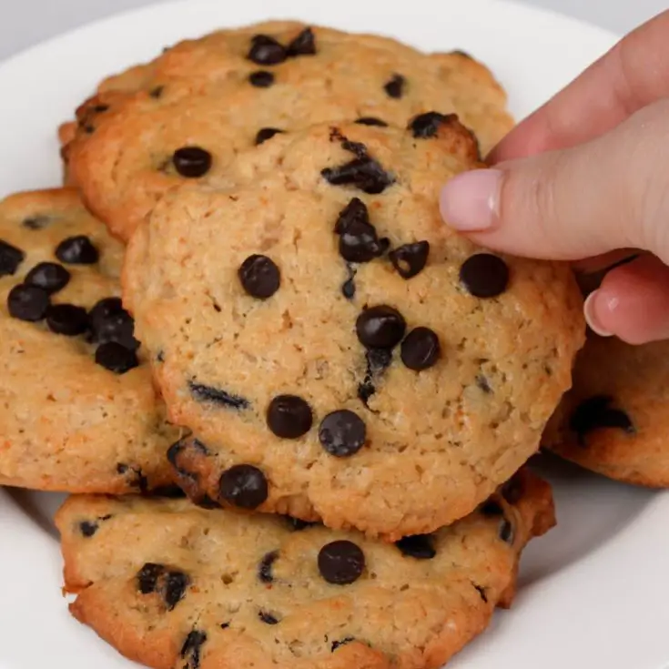 Greek Yogurt Chocolate Chip Cookies Recipe